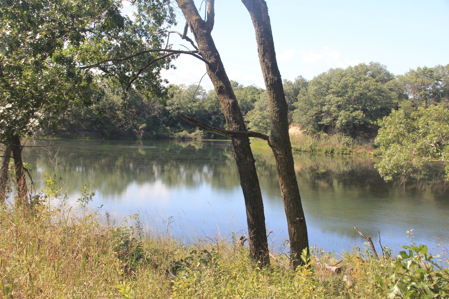 Ranger Led Miller Woods Hike 